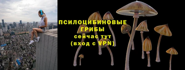 марки lsd Белокуриха