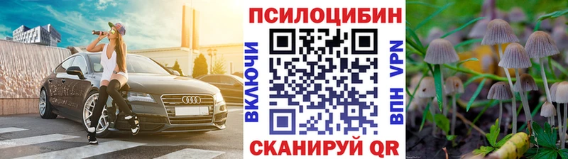 Псилоцибиновые грибы Psilocybine cubensis Тобольск