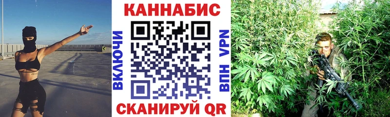 Бошки марихуана план  Тобольск 